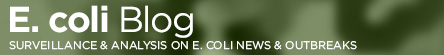 Header graphic for print